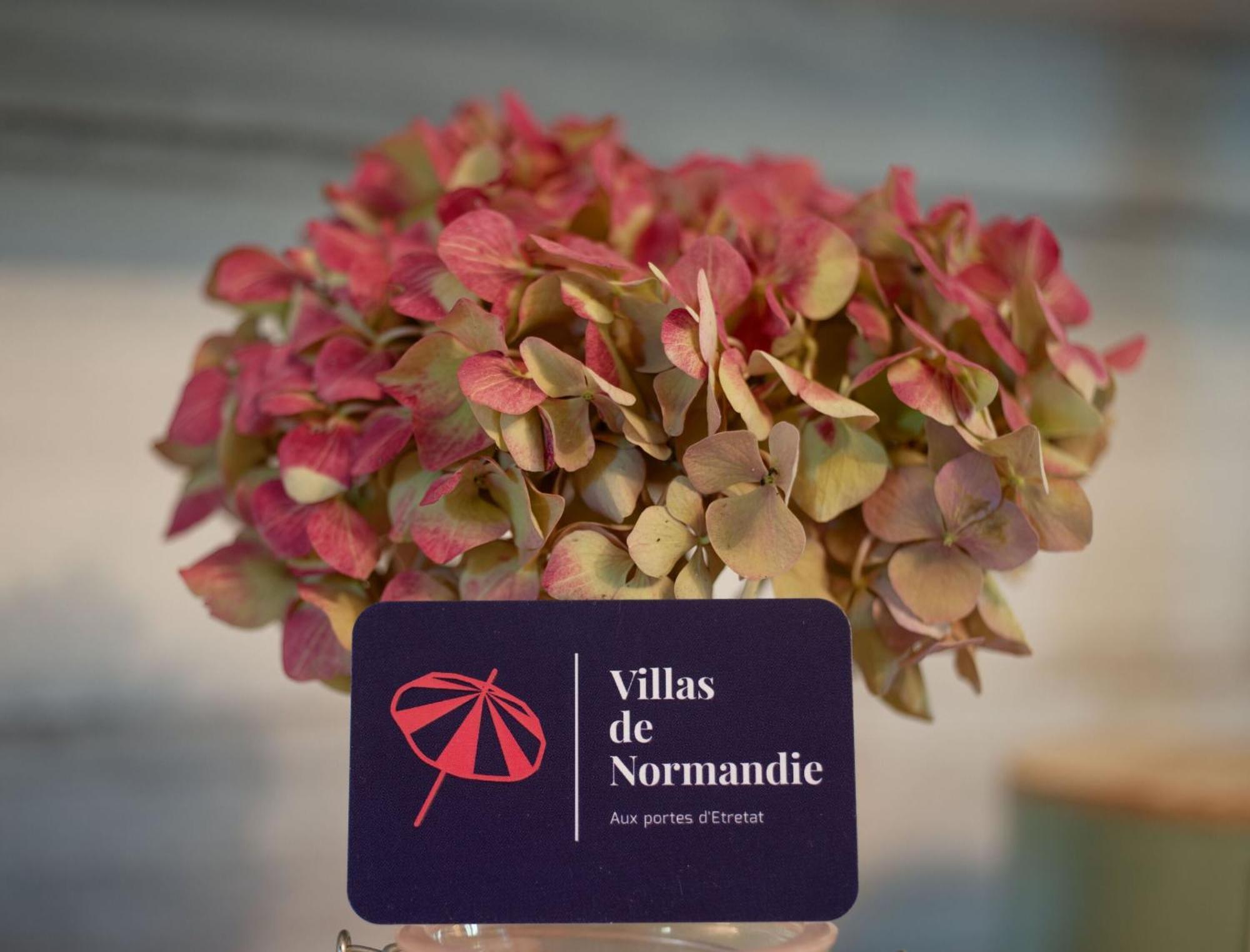 Bordeaux-Saint-Clair La Fleur De Sel D'Etretat 빌라 외부 사진